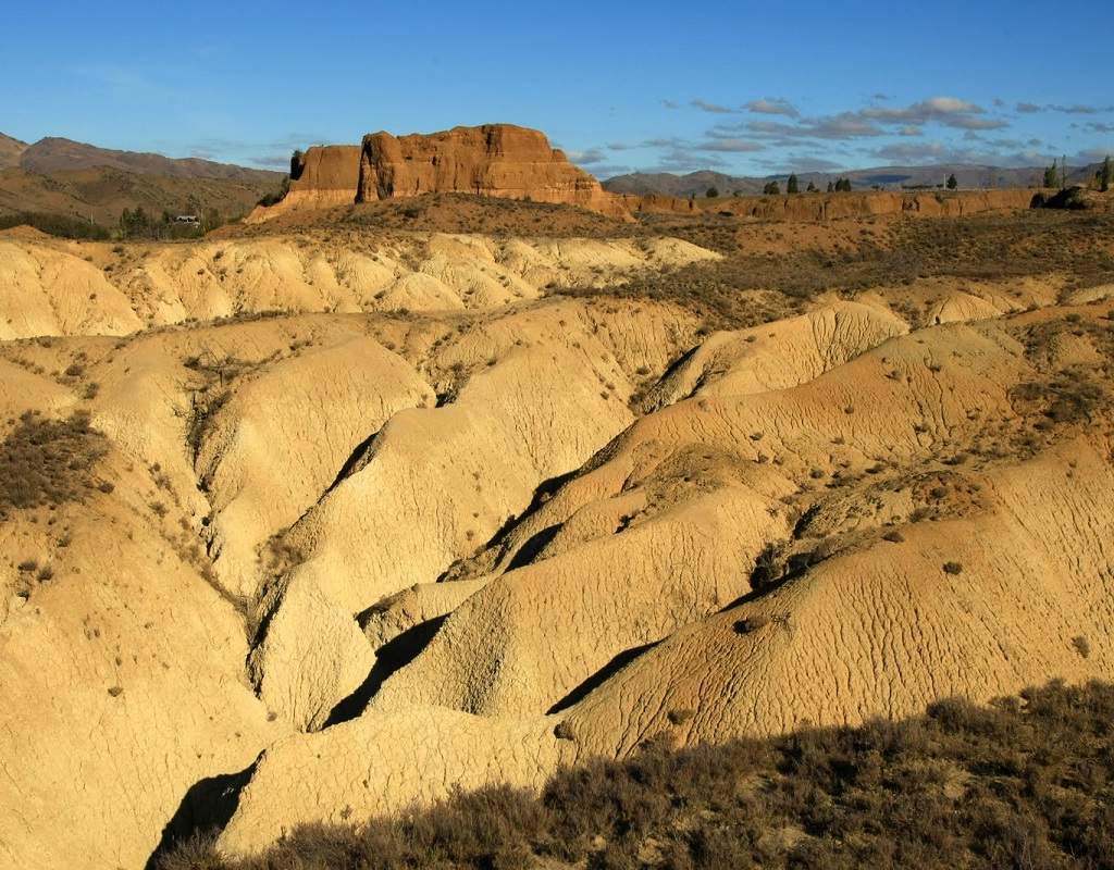 Bannockburn BeckerFraserPhotos