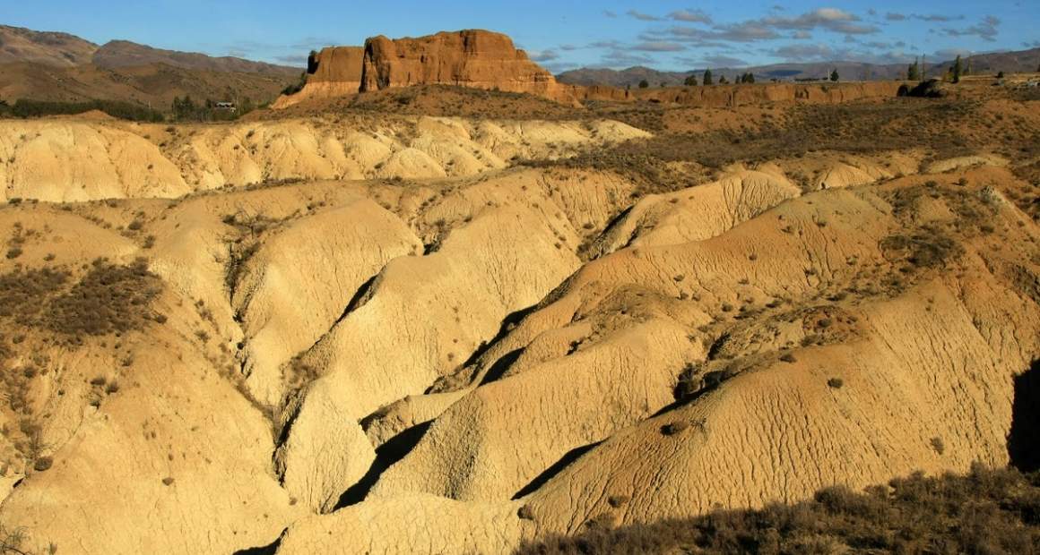 Bannockburn BeckerFraserPhotos