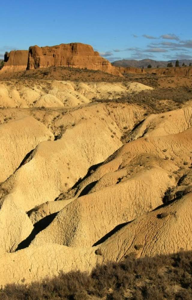 Bannockburn BeckerFraserPhotos
